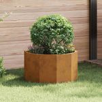 Casa si Gradina - Gradinarit si plante - Plante si ghivece - Ghivece si suporturi - Jardiniera Ruginit 60 x 60 x 35 cm Otel rezistent de intemperii - Infinity.ro