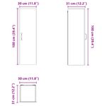 Casa si Gradina - Mobilier - Comode si corpuri - Corpuri bucatarie - Dulap de bucatarie cu raft Stejar fumuriu 30 x 31 x 100 cm - Infinity.ro