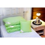 Casa si Gradina - Textile si covoare - Perne si pilote - Pilote - Pilota Nature 220x200 Verde - Bambus 100%, 200g/mp - Infinity.ro