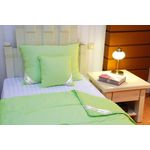 Casa si Gradina - Textile si covoare - Perne si pilote - Pilote - Pilota Nature 180x200 cm Verde - Bambus 100%, 200g/mp - Infinity.ro