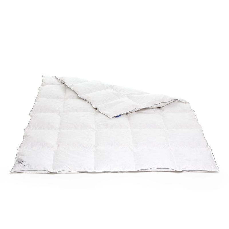 Casa si Gradina - Textile si covoare - Perne si pilote - Pilote - Pilota Feeling 50 140x200 - Puf de gasca 50%, pana mica de gasca 50% - Infinity.ro