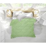 Casa si Gradina - Textile si covoare - Perne si pilote - Pilote - Pilota 4 Anotimpuri, Bamboo Sense, 140x200 cm, 250 g + 150 g, cu fibra de bambus, verde - Infinity.ro