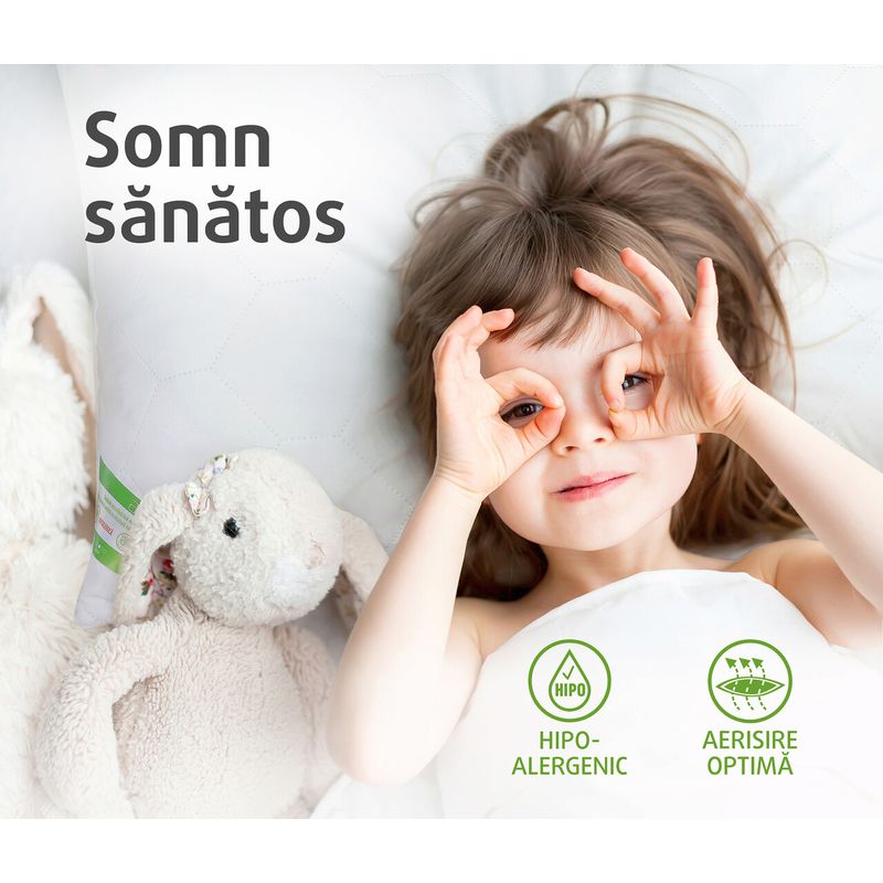 Casa si Gradina - Textile si covoare - Perne si pilote - Perne - Set Alcam, 2 perne 70x70 cm, microfibra matlasata, lavabile, alb - Infinity.ro