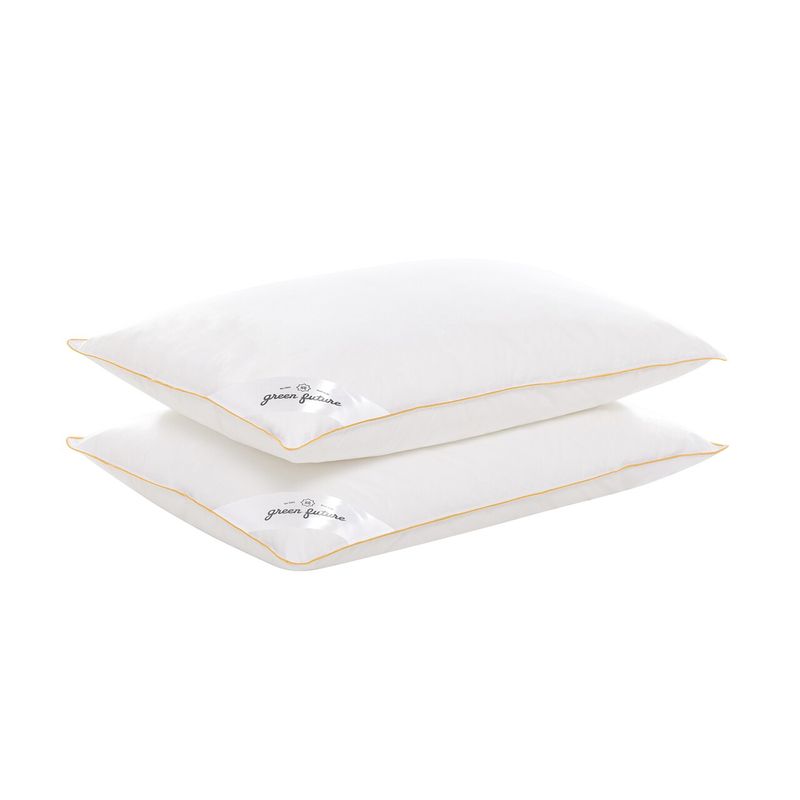 Casa si Gradina - Textile si covoare - Perne si pilote - Perne - Perna Feeling 100 50x70 cm- Puf de gasca 100% - Infinity.ro