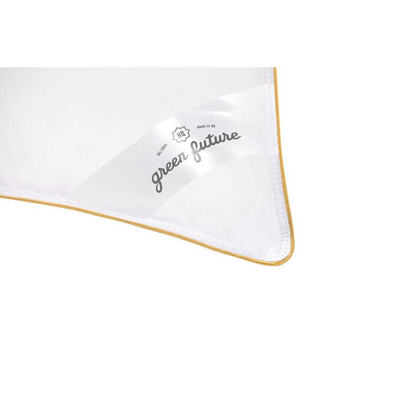 Casa si Gradina - Textile si covoare - Perne si pilote - Perne - Perna Feeling 100 50x70 cm- Puf de gasca 100% - Infinity.ro