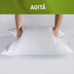 Casa si Gradina - Textile si covoare - Perne si pilote - Perne - Perna Feeling 100 50x70 cm- Puf de gasca 100% - Infinity.ro