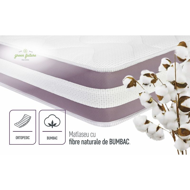 image-6674cfe337454a3b8b492f7be3600520