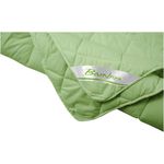 Casa si Gradina - Textile si covoare - Perne si pilote - Pilote - Set Bamboo Sense, 2 perne 50x70 cm si pilota matlasata 300g/mp, 180x200 cm - Infinity.ro