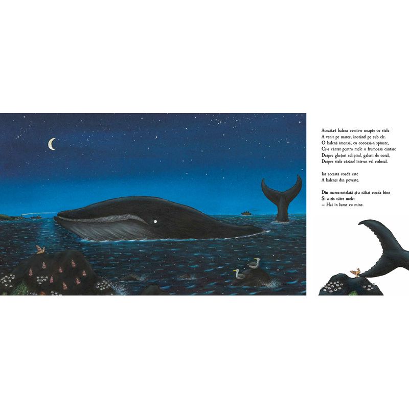Carti si Birotica - Carti - Carti pentru copii - Basme si povesti - Melcul si balena - Julia Donaldson - Infinity.ro