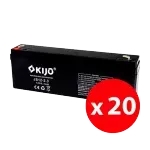 Casa si Gradina - Electrice - Smart Home - Accesorii control acces si supraveghere - Cutie 20 acumulatori JS12-2.3 - KIJO JS12-2.3-BAX - Infinity.ro