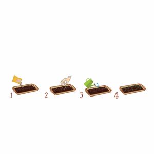 Casa si Gradina - Gradinarit si plante - Intretinere gradina - Infinity.ro