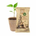 Casa si Gradina - Gradinarit si plante - Intretinere gradina - Pamant flori, ingrasaminte si pesticide - Substrat natural Dr.Soil pentru insamantare la punga de 1L - Infinity.ro