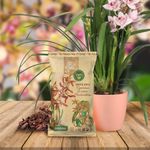 Casa si Gradina - Gradinarit si plante - Intretinere gradina - Pamant flori, ingrasaminte si pesticide - Substrat natural Dr.Soil pentru Cymbidium si orhidee pseudobulboase la punga de 1L - Infinity.ro