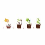 Casa si Gradina - Gradinarit si plante - Intretinere gradina - Pamant flori, ingrasaminte si pesticide - Substrat natural Dr.Soil pentru plante aromatice la punga de 1L - Infinity.ro