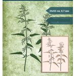 Casa si Gradina - Decoratiuni - DIY - Sabloane decorative pereti - Sablon Perete vopsire, tencuiala model Urzica si Ierburi de Pajiste MXSP7656 390 x 530 mm - Infinity.ro