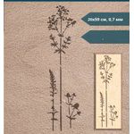 Casa si Gradina - Decoratiuni - DIY - Sabloane decorative pereti - Sablon Perete vopsire, tencuiala model Flori de Pajiste MXSP7655 marime 200 x 590 mm - Infinity.ro