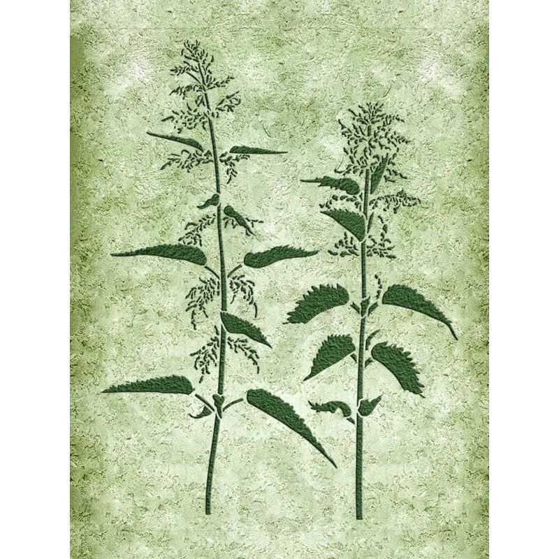 Casa si Gradina - Decoratiuni - DIY - Sabloane decorative pereti - Sablon Perete vopsire, tencuiala model Urzica si Ierburi de Pajiste MXSP7656 390 x 530 mm - Infinity.ro