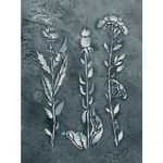 Casa si Gradina - Decoratiuni - DIY - Sabloane decorative pereti - Sablon Perete vopsire, tencuiala model Flori Salbatice "Ciulinii Baraganului" MXSP7653 390x590mm - Infinity.ro