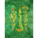 Casa si Gradina - Decoratiuni - DIY - Sabloane decorative pereti - Sablon Perete vopsire, tencuiala model Flori Salbatice "Ciulinii Baraganului" MXSP7653 390x590mm - Infinity.ro