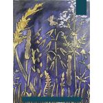 Casa si Gradina - Decoratiuni - DIY - Sabloane decorative pereti - Sablon Perete vopsire, tencuiala Spice de Grau model MXSP7659 marime 590 x 390 mm - Infinity.ro