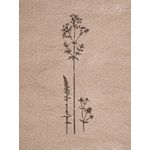 Casa si Gradina - Decoratiuni - DIY - Sabloane decorative pereti - Sablon Perete vopsire, tencuiala model Flori de Pajiste MXSP7655 marime 200 x 590 mm - Infinity.ro