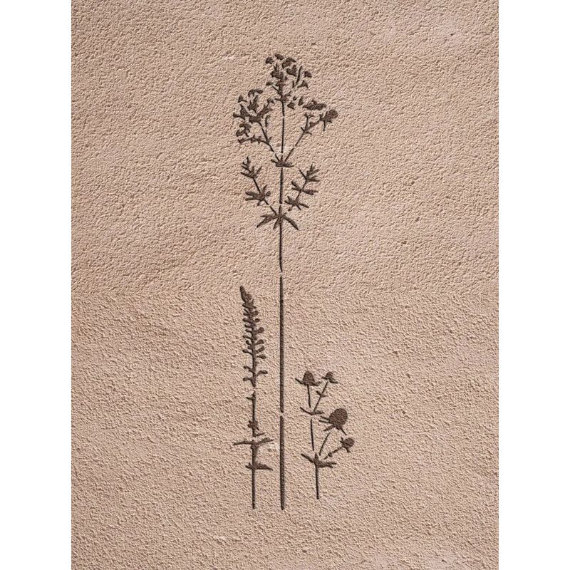 Casa si Gradina - Decoratiuni - DIY - Sabloane decorative pereti - Sablon Perete vopsire, tencuiala model Flori de Pajiste MXSP7655 marime 200 x 590 mm - Infinity.ro