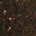 Casa si Gradina - Gradinarit si plante - Intretinere gradina - Pamant flori, ingrasaminte si pesticide - Substrat natural Dr.Soil pentru bonsai si alte plante de ghiveci altoite la punga de 1L - Infinity.ro