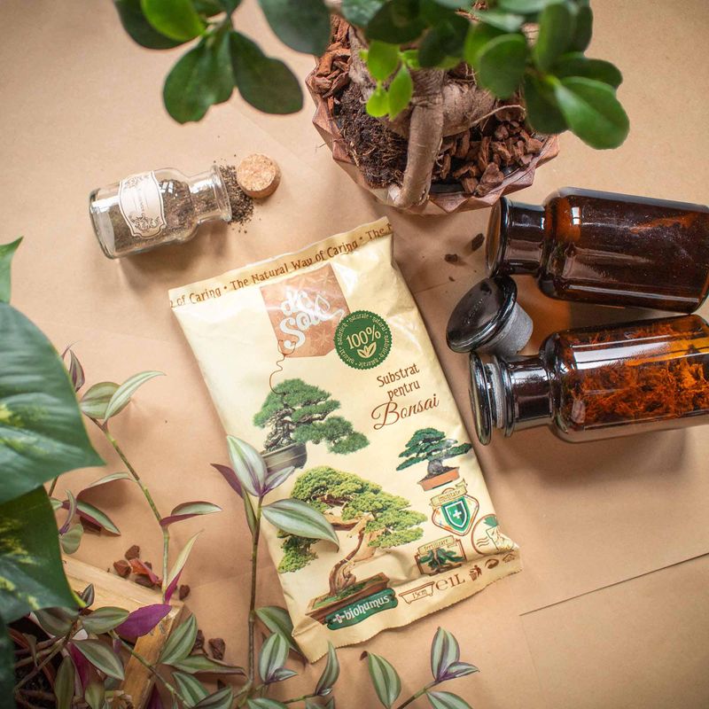 Casa si Gradina - Gradinarit si plante - Intretinere gradina - Pamant flori, ingrasaminte si pesticide - Substrat natural Dr.Soil pentru bonsai si alte plante de ghiveci altoite la punga de 1L - Infinity.ro