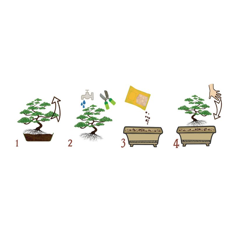 Casa si Gradina - Gradinarit si plante - Intretinere gradina - Pamant flori, ingrasaminte si pesticide - Substrat natural Dr.Soil pentru bonsai si alte plante de ghiveci altoite la punga de 1L - Infinity.ro