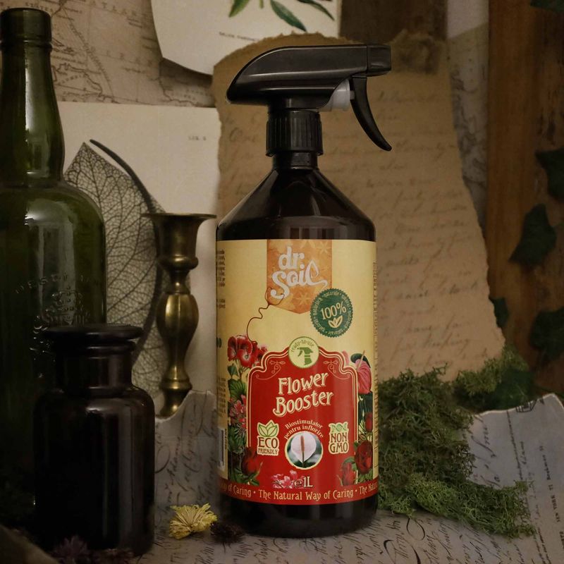 Casa si Gradina - Gradinarit si plante - Intretinere gradina - Pamant flori, ingrasaminte si pesticide - Dr.Soil FLOWER BOOSTER, biostimulator cu rolul de a stimula înflorirea, solutie gata de utilizare cu pulverizator de 1 litru - Infinity.ro