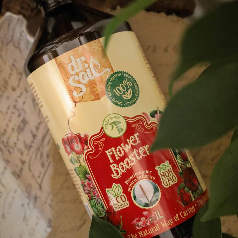 Casa si Gradina - Gradinarit si plante - Intretinere gradina - Pamant flori, ingrasaminte si pesticide - Dr.Soil FLOWER BOOSTER, biostimulator cu rolul de a stimula înflorirea, solutie gata de utilizare cu pulverizator de 1 litru - Infinity.ro