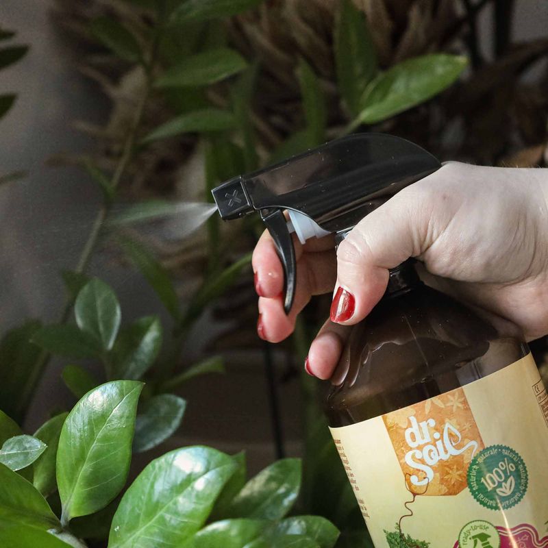 Casa si Gradina - Gradinarit si plante - Intretinere gradina - Pamant flori, ingrasaminte si pesticide - Dr.Soil FLOWER BOOSTER, biostimulator cu rolul de a stimula înflorirea, solutie gata de utilizare cu pulverizator de 1 litru - Infinity.ro