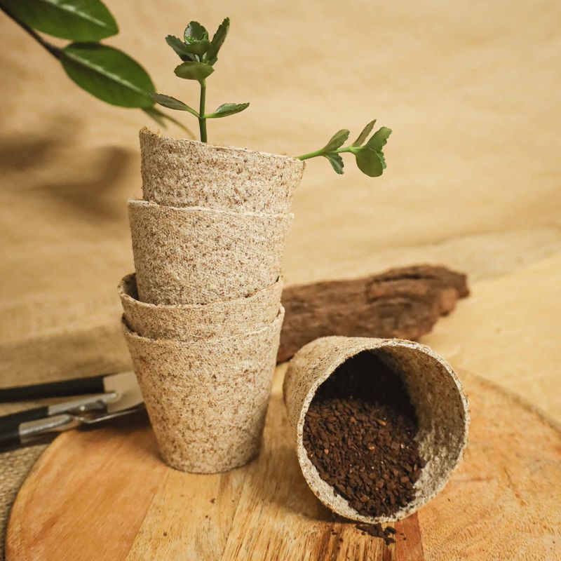 Casa si Gradina - Gradinarit si plante - Intretinere gradina - Pamant flori, ingrasaminte si pesticide - Set 24 ghivece biodegradabile rotunde pentru germinare si sadire Dr.Soil, cu diametrul de 6 cm - Infinity.ro