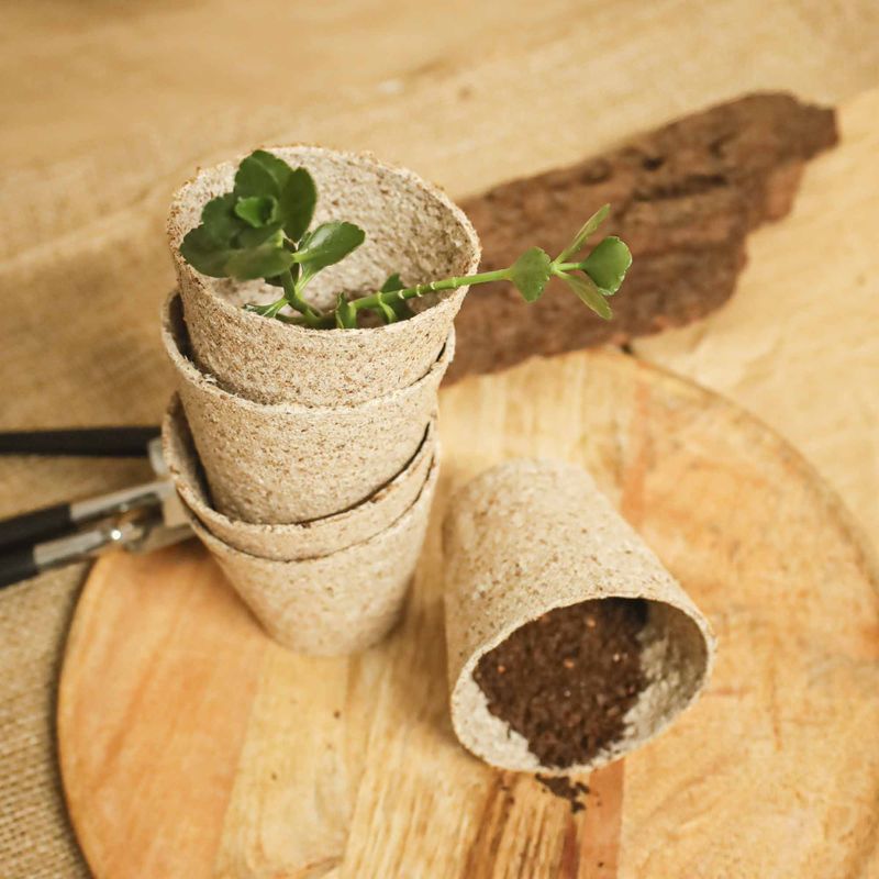 Casa si Gradina - Gradinarit si plante - Intretinere gradina - Pamant flori, ingrasaminte si pesticide - Set 24 ghivece biodegradabile rotunde pentru germinare si sadire Dr.Soil, cu diametrul de 6 cm - Infinity.ro