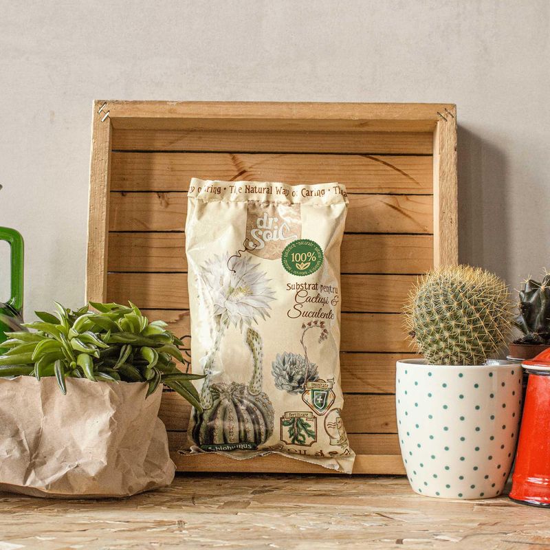 Casa si Gradina - Gradinarit si plante - Intretinere gradina - Pamant flori, ingrasaminte si pesticide - Substrat natural Dr.Soil pentru cactusi si suculente la punga de 1L - Infinity.ro