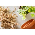 Casa si Gradina - Gradinarit si plante - Intretinere gradina - Pamant flori, ingrasaminte si pesticide - Muschi Sphagnum (deshidratat), la punga de 15 gr - Infinity.ro