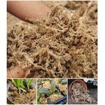 Casa si Gradina - Gradinarit si plante - Intretinere gradina - Pamant flori, ingrasaminte si pesticide - Muschi Sphagnum (deshidratat), la punga de 15 gr - Infinity.ro