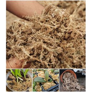 Casa si Gradina - Gradinarit si plante - Intretinere gradina - Infinity.ro