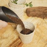 Casa si Gradina - Gradinarit si plante - Intretinere gradina - Pamant flori, ingrasaminte si pesticide - Set 16 ghivece biodegradabile rotunde pentru germinare si sadire Dr.Soil, cu diametrul de 8 cm - Infinity.ro