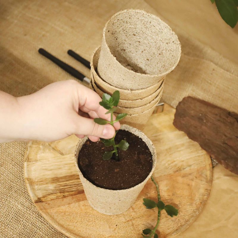 Casa si Gradina - Gradinarit si plante - Intretinere gradina - Pamant flori, ingrasaminte si pesticide - Set 12 ghivece biodegradabile rotunde pentru germinare si sadire Dr.Soil, cu diametrul de 11 cm - Infinity.ro