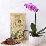 Casa si Gradina - Gradinarit si plante - Intretinere gradina - Pamant flori, ingrasaminte si pesticide - Substrat natural Dr.Soil pentru orhidee Phalaenopsis la punga de 1L - Infinity.ro