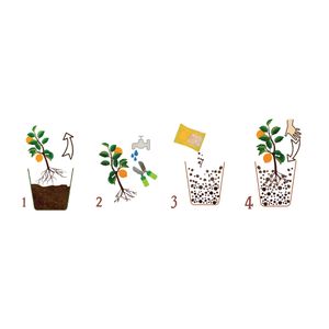 Substrat natural Dr.Soil pentru citrice la punga de 1L