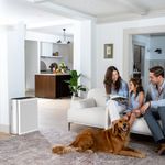 Electronice si Electrocasnice - Climatizare si sisteme de incalzire - Aparate filtrare aer - Purificatoare de aer - Purificator de aer Smart Levoit EverestAir Wi-Fi, Filtru True HEPA, 100 m², Flux de Aer Multidirectional, Mod Auto - Infinity.ro