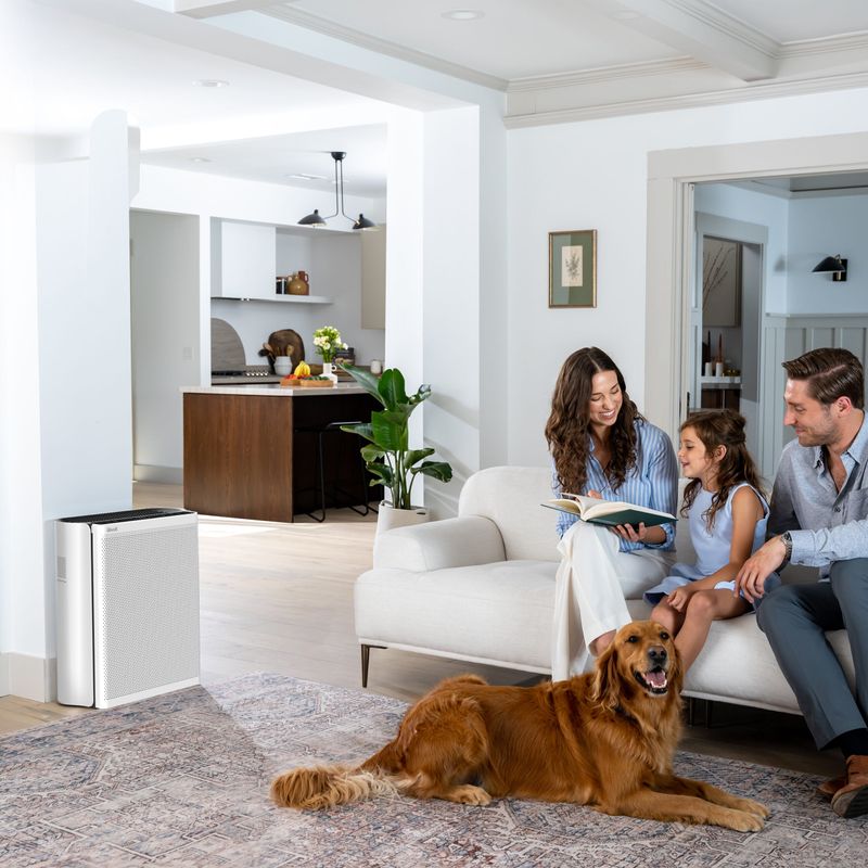Electronice si Electrocasnice - Climatizare si sisteme de incalzire - Aparate filtrare aer - Purificatoare de aer - Purificator de aer Smart Levoit EverestAir Wi-Fi, Filtru True HEPA, 100 m², Flux de Aer Multidirectional, Mod Auto - Infinity.ro
