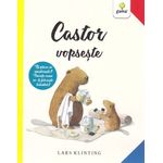 Carti si Birotica - Carti - Carti pentru copii - Basme si povesti - Castor vopseste/ Castor - Infinity.ro