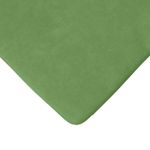 Casa si Gradina - Textile si covoare - Perne si pilote - Perne decorative - Perne de Sezut 4 pcs Verde deschis 40 x 40 x 3 cm Catifea - Infinity.ro