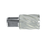 Casa si Gradina - Constructii - Scule electrice si accesorii - Seturi si accesorii pentru gaurit si insurubat - Carota HSS cu prindere Weldon (3/4'') lungime 30 mm, DIM 12.0 - Infinity.ro