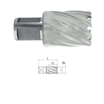 Casa si Gradina - Constructii - Scule electrice si accesorii - Seturi si accesorii pentru gaurit si insurubat - Carota HSS cu prindere Weldon (3/4'') lungime 30 mm, DIM 20.0 - Infinity.ro