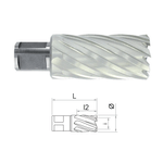 Casa si Gradina - Constructii - Scule electrice si accesorii - Seturi si accesorii pentru gaurit si insurubat - Carota HSS cu prindere Weldon (3/4'') lungime 50 mm, DIM 24.0 - Infinity.ro
