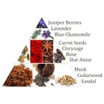 Casa si Gradina - Decoratiuni - Aromaterapie si lumanari - Odorizante camera - Cărbuni aromați Aromafume - Chakra 6 Ajna | 9 blocuri de tămâie exotică pentru intuiție, clarviziune și echilibru mental - Infinity.ro
